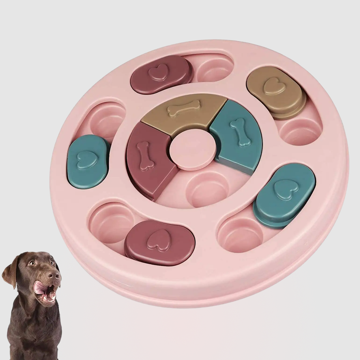 Jouet De R Flexion Interactif Pour Chiens Et Chats Mangeoire Puzzle